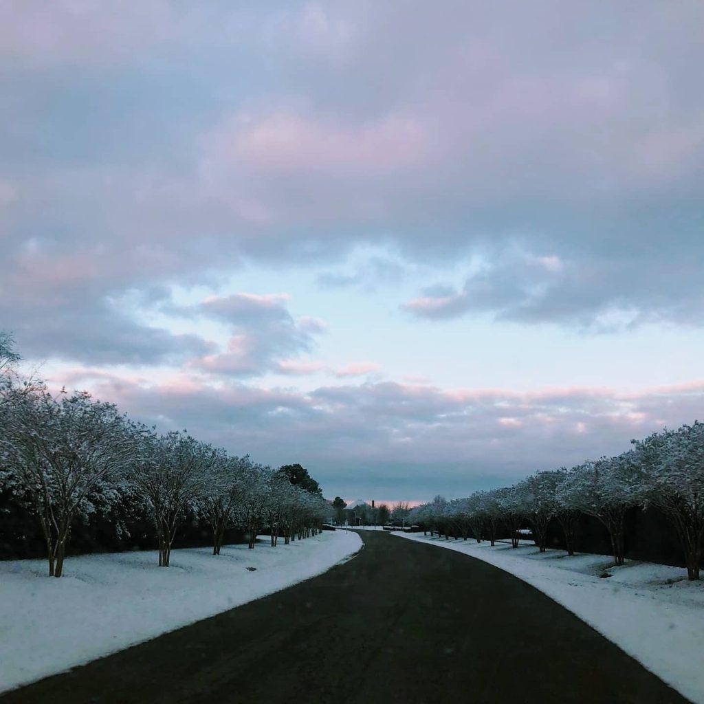 Governor's Land | Blog | Beautiful Snow