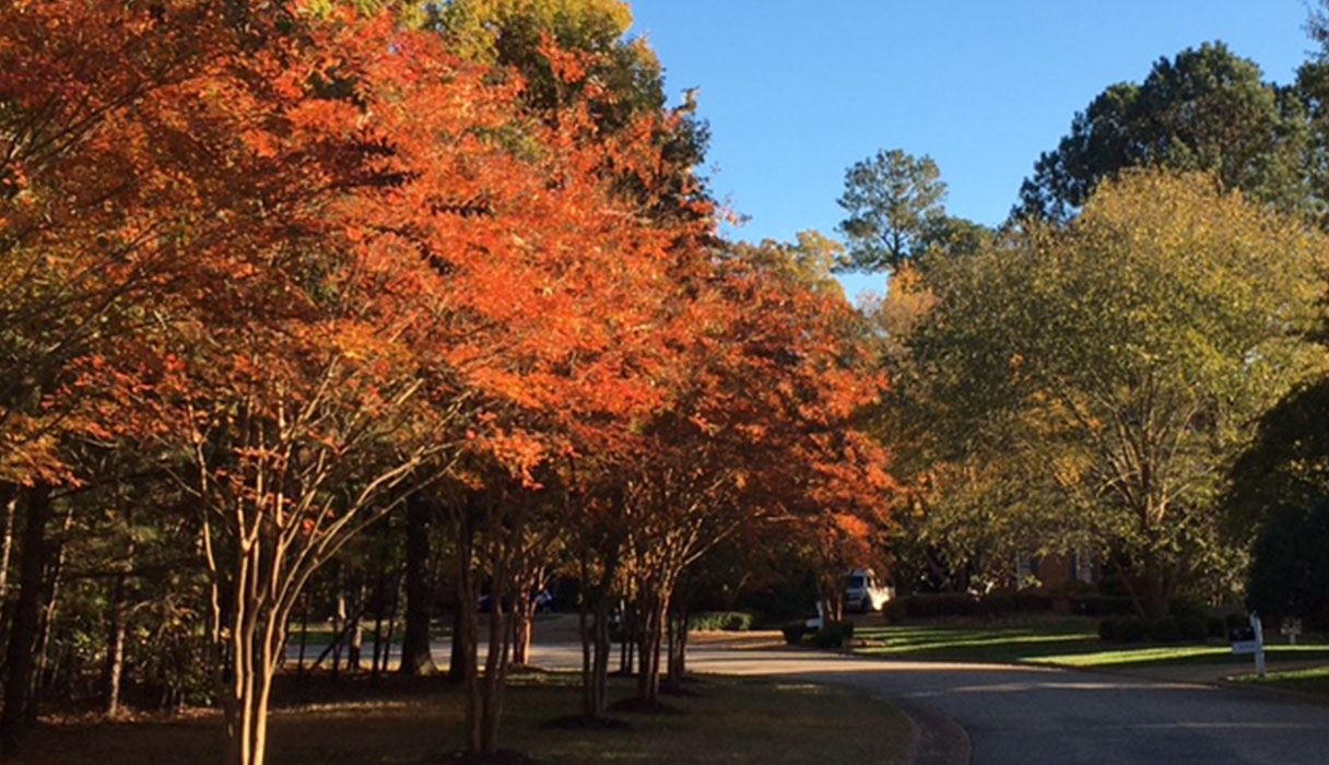 Red, orange hues of leaves showcasing the fall foliage at Governors Land at Two Rivers in Williamsburg, Virginia.